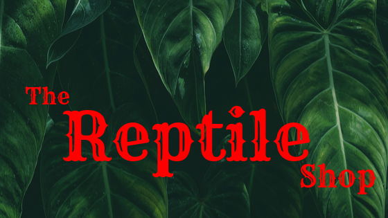 reptile shop logo.png